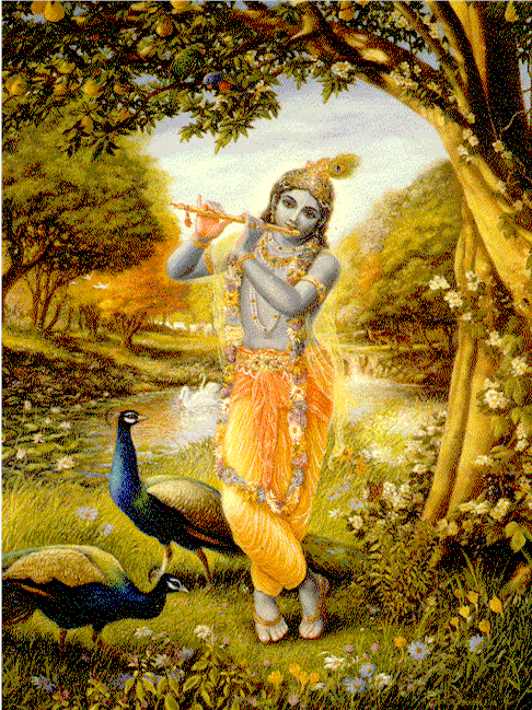 Sri Bhagavatam Etv Serial Episodes Free Download Sri Bhagavatam Etv Serial Episodes Free Download